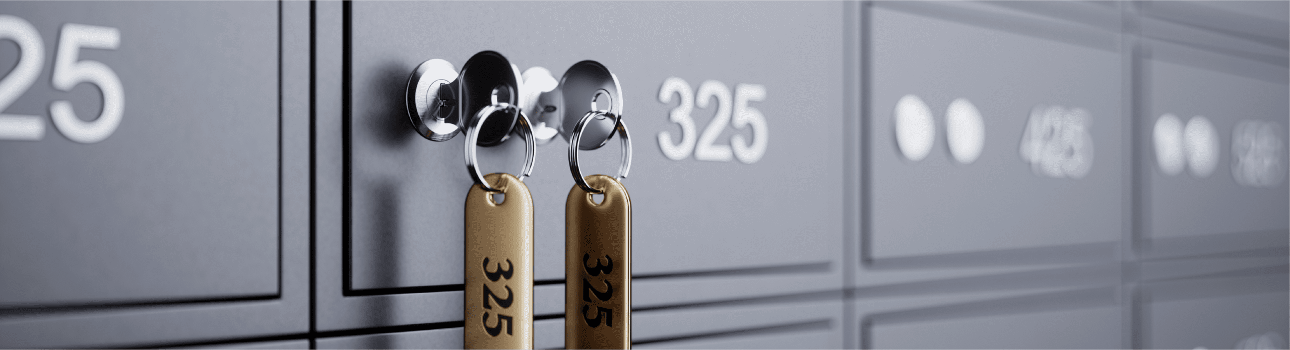 Public Key Infrastructure